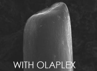 Olaplex Unterschied der Haarspitze