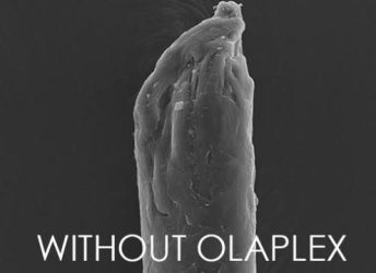 without olaplex Haarspitze ohne Olaplex