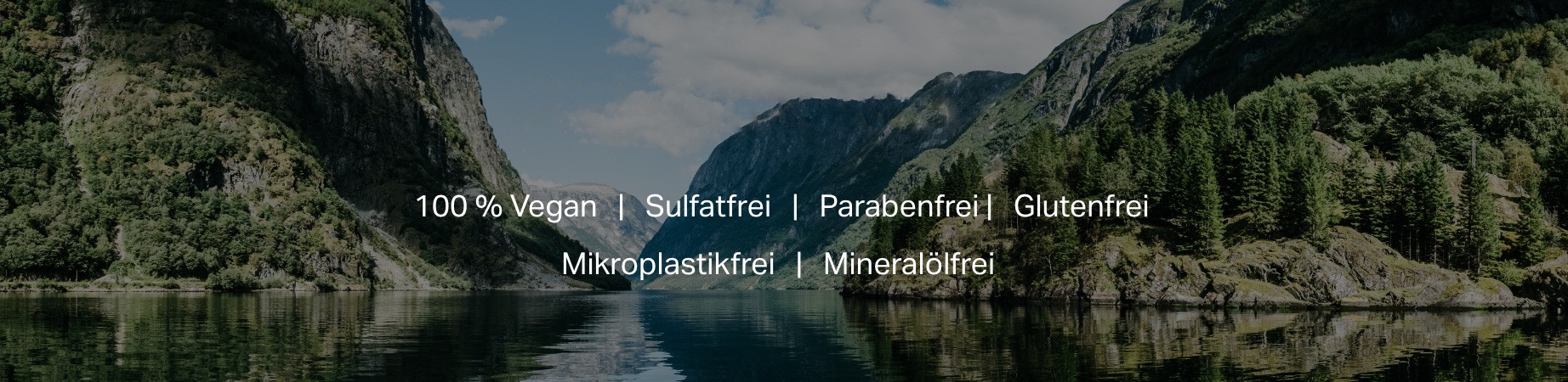 Ref Stockholm See mit Bergen