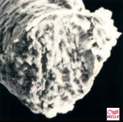 normal geschnitten geschädigte Haarspitze