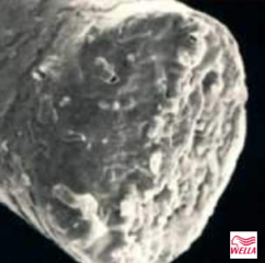 versiegelt versiegelte Haarspitze